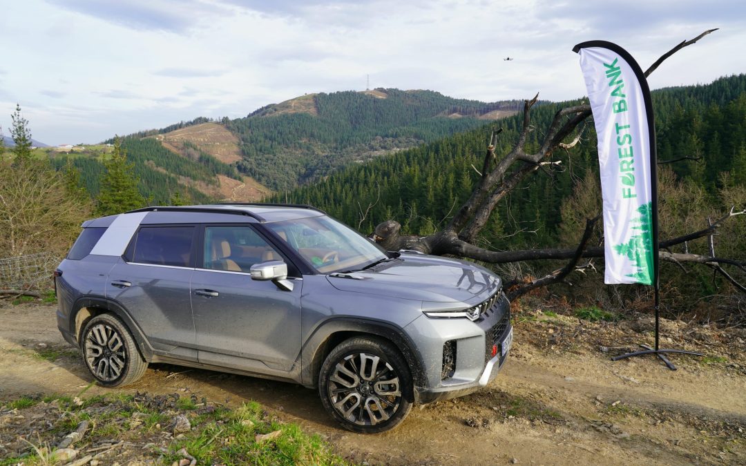 SsangYong colabora en la reforestación de un bosque quemado